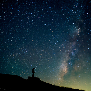 天天射综合网站
