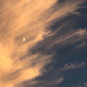 天天射综合网站
