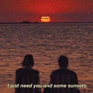 天天射综合网站
