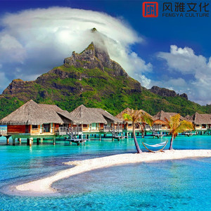 天天射综合网站
